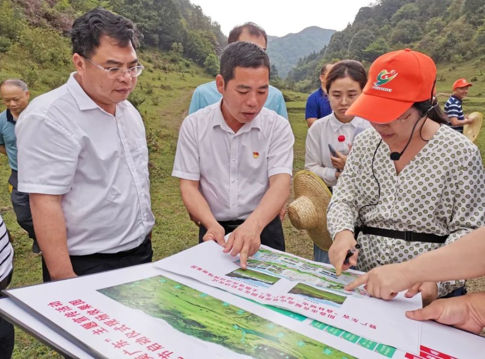 阳春市领导检查首届高山草原杜鹃花节筹备情况