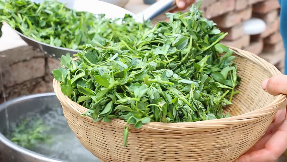 春天遇到这种野菜别放过,营养成分超过菠菜,号称女性最佳补品