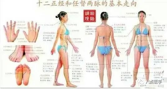 针灸二十八绝穴(收藏版)