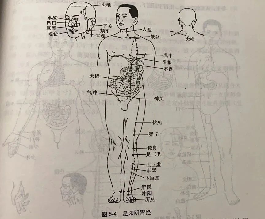 十二经络的循行部位与表里关系(1)