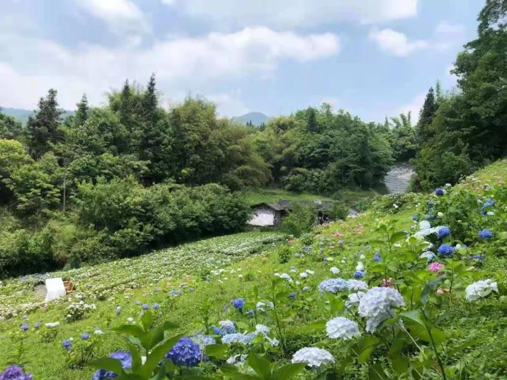 就连山谷的名字- 鹿野花塔都显得那么诗意浪漫.