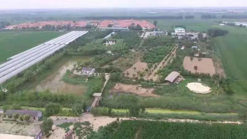 麦积区团庄村人口_麦积区地图