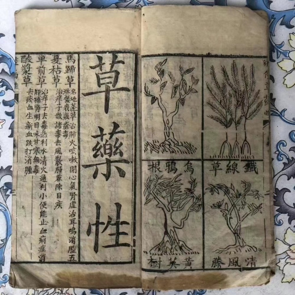 一部以神农氏起名的古医书