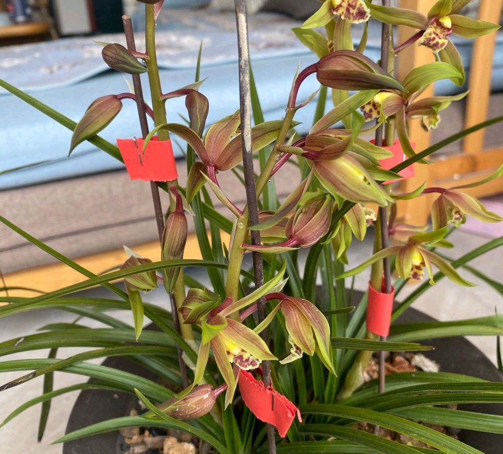 1000