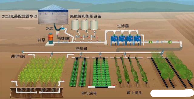 番茄无土栽培技术是什么?又该如何去理解,一篇文章搞定