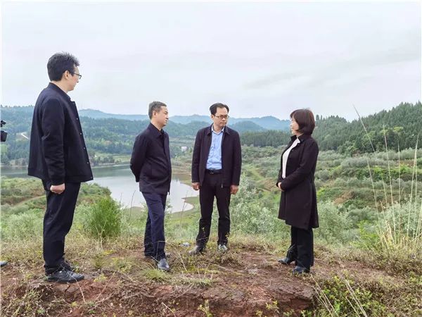 抓好精准防控 筑牢森林资源"防火墙——访南充市林业局局长杨方军