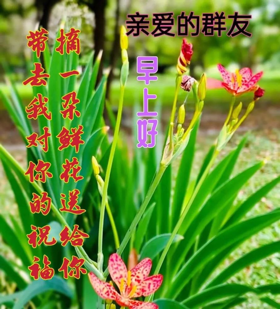 4月25日最漂亮的早上好祝福语图片温馨 清晨群发短语