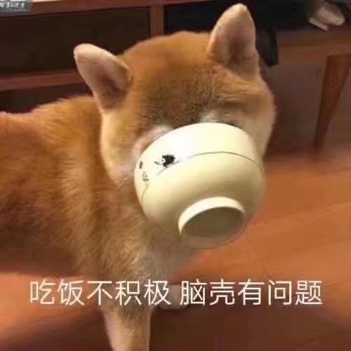可爱搞笑又沙雕的表情包大全