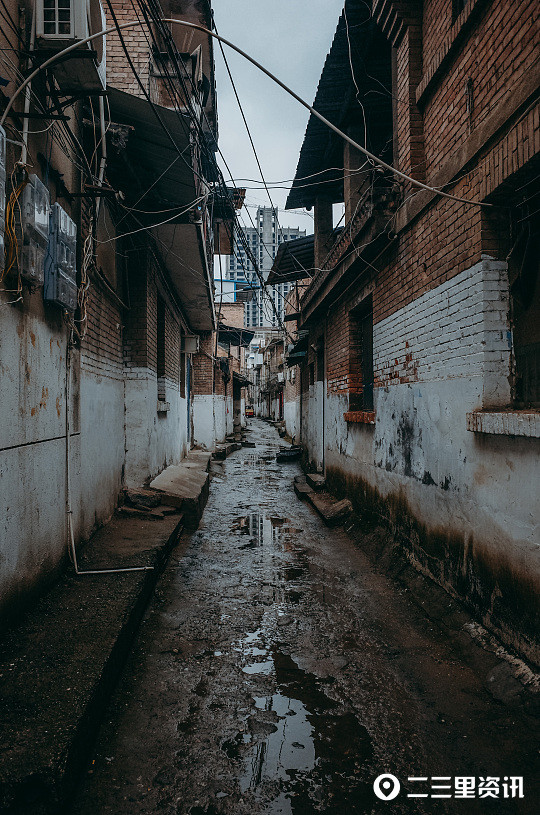 【街拍渭南】雨中巷道,深情对望,狗撵兔……用镜头记录渭南