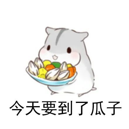 仓鼠表情包:走,要饭去