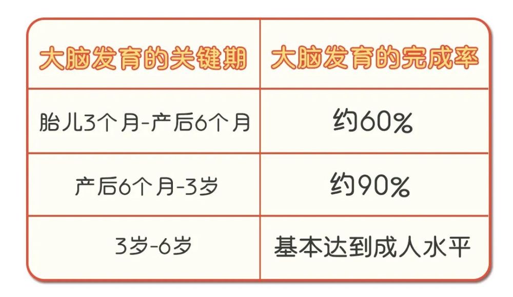 别让宝宝错过,人生只有1次的大脑发育"黄金期"～宝宝辅食