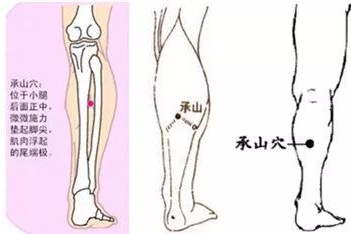 承山穴,在小腿肚子下方正中,这里,肌肉分成"人"字形,承山穴就在人字