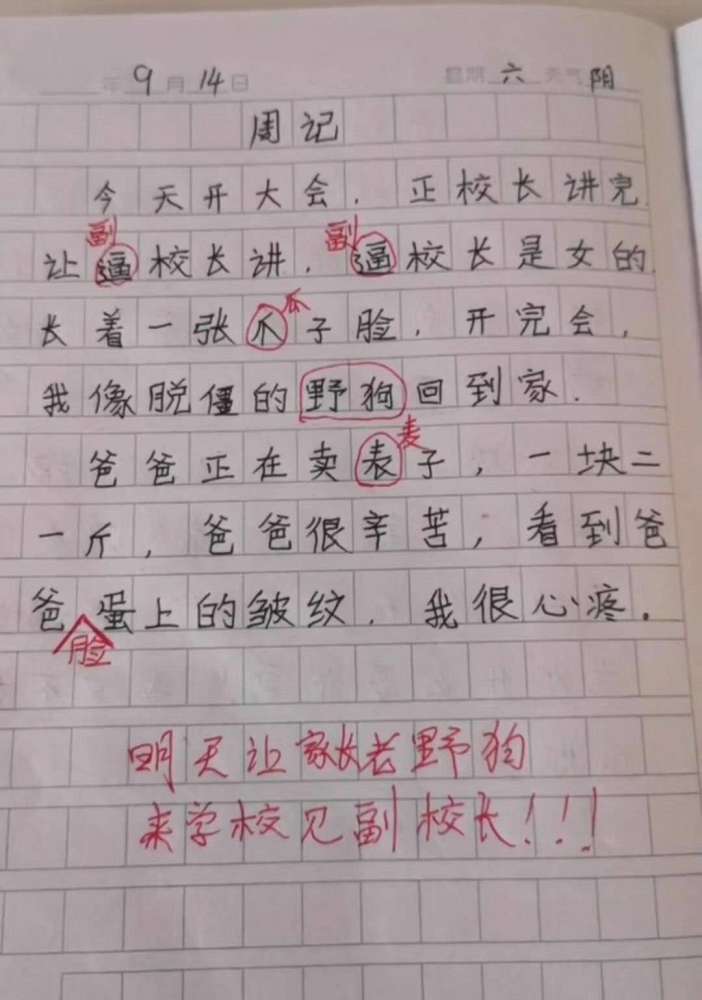 每天笑亿次:熊孩子的0分作文,老师都看呆了