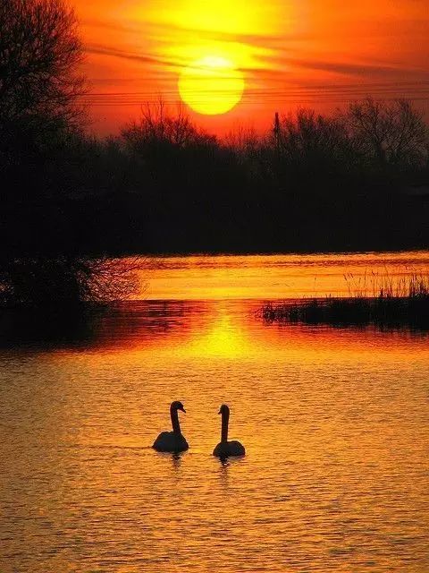 高清夕阳壁纸图片无水印