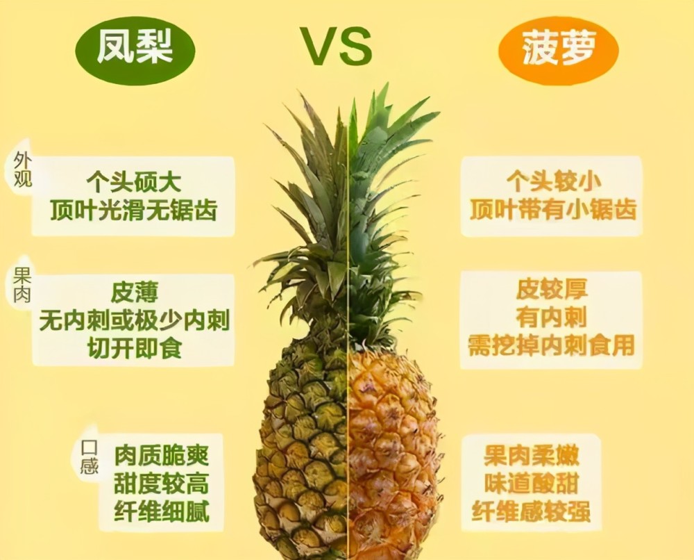 菠萝和凤梨一样吗?牢记4点就能区分,别再花贵的钱买便宜的东西