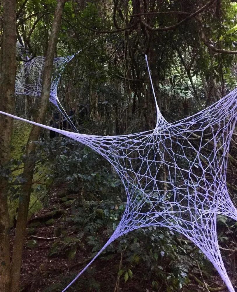 巨型蜘蛛网,时空隧道,神秘雕塑