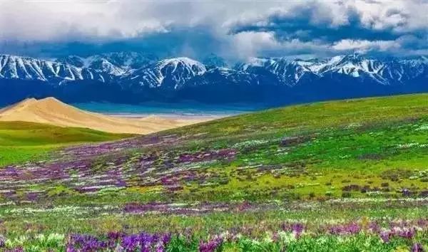 新疆的美景,每一张都是大片!