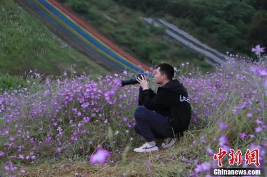 铜梁哪家婚纱摄影好_婚纱摄影(3)