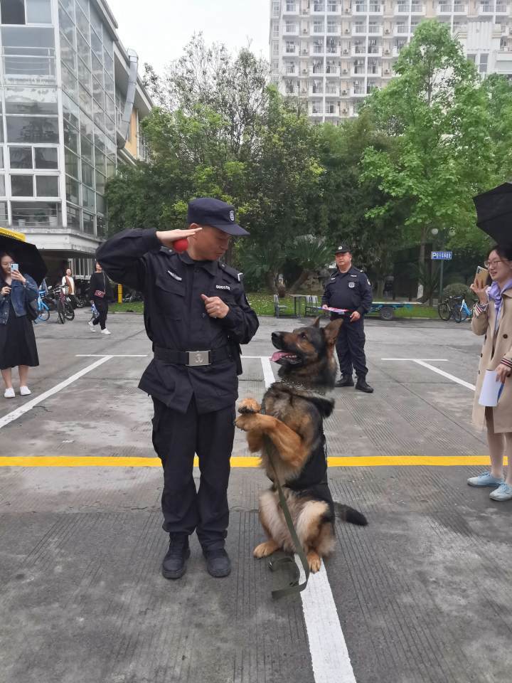 警犬战机齐上阵蜀黍反诈放大招了