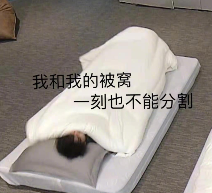 蔡徐坤《跑男》献绝技,1秒钻被窝脚还不着地,杨颖黄旭熙看懵了