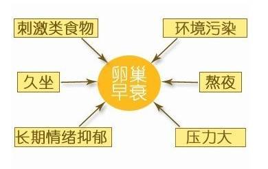 围观:29岁雌激素低卵巢早衰怀孕了!