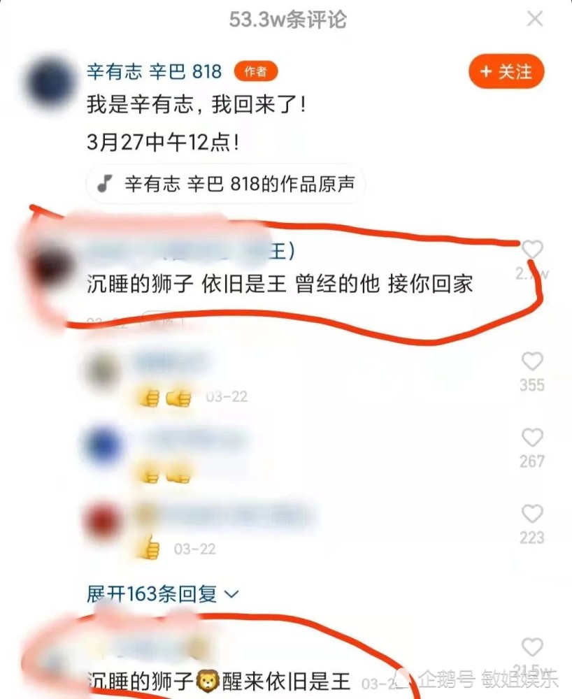 果然,辛巴又出事了!