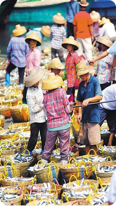 海南岛的"疍家人"日复一日地演绎着渔家风情