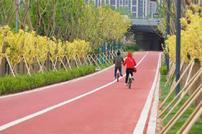 太原汾河自行车专用道第七标段全线首家顺利完工