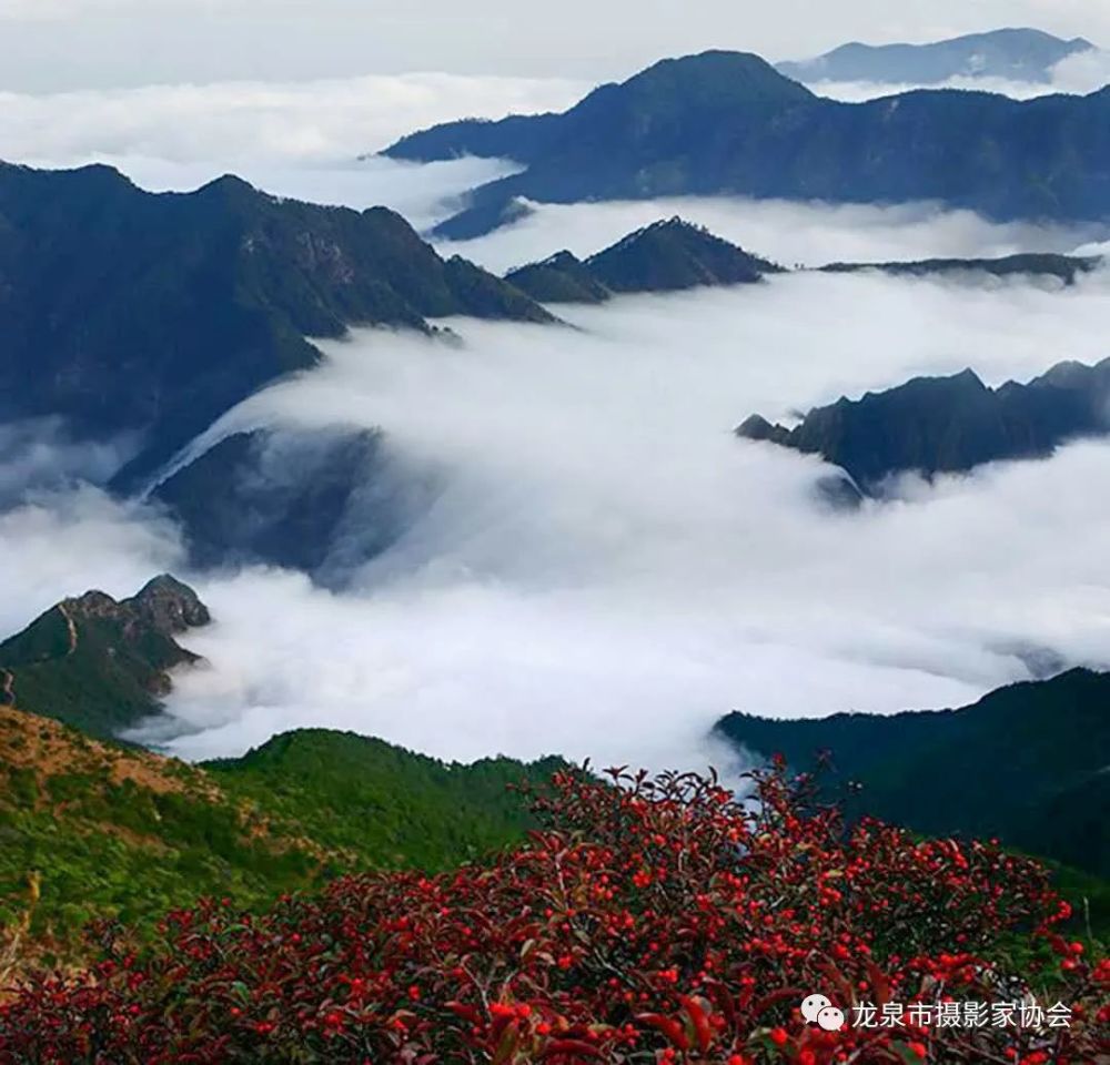 龙泉山景区位于百山祖国家森林公园内,距龙泉市区45公里,面积28平方