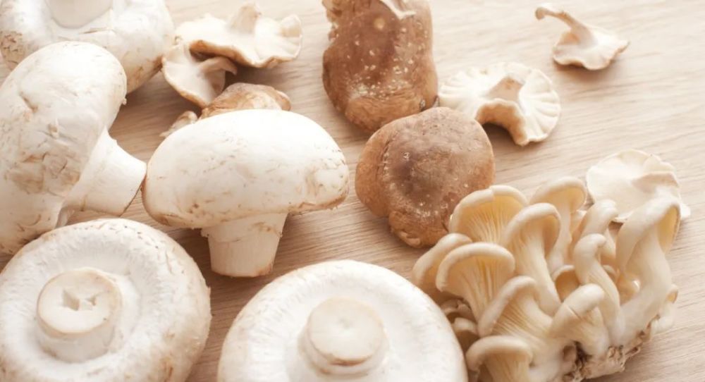 蘑菇种类繁多,许多不仅味道鲜美,而且富含维生素,营养素和抗氧化剂等