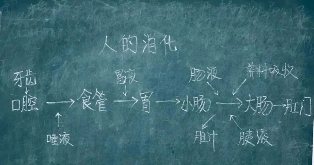 这种板书样式也经常应用在讲解语文课文中,可以按照情节和故事发展来