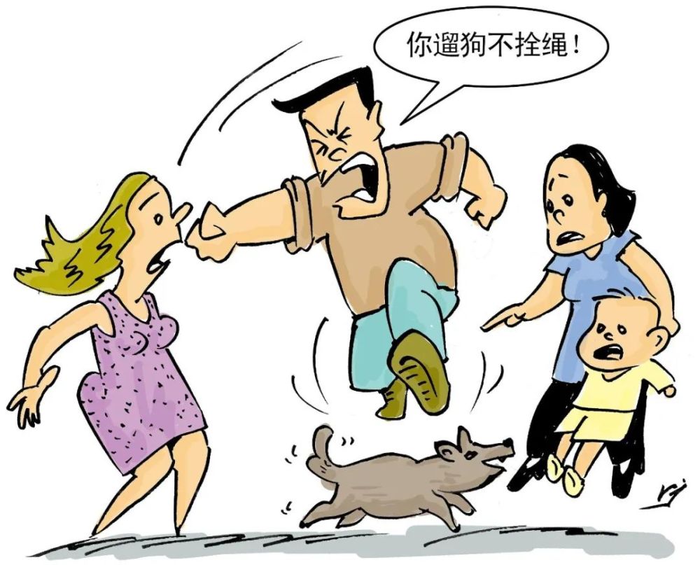 情况时也会失控,虽然大多数狗的性格温顺,但这不是遛狗不牵绳的借口