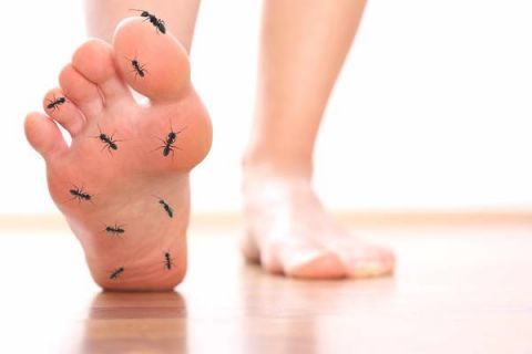 糖尿病患者发现腿脚部位于出现三种症状 就要警惕是糖尿病足