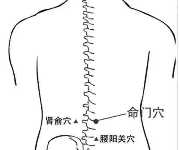 腰痛的受不了艾灸这些穴位吧