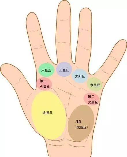 手掌中的"生命线"代表着什么样的财运,事业运,感情运