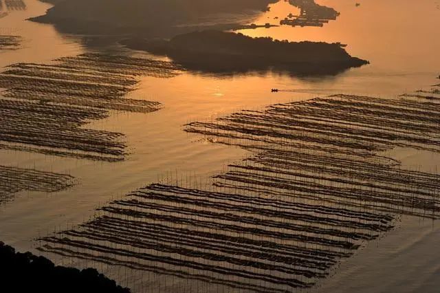 霞浦花竹风光,这才是永远不灭的海市蜃楼!