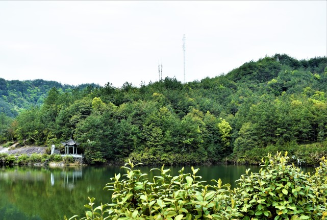 漫步永康飞龙山风景区,赏析春天的风和日丽