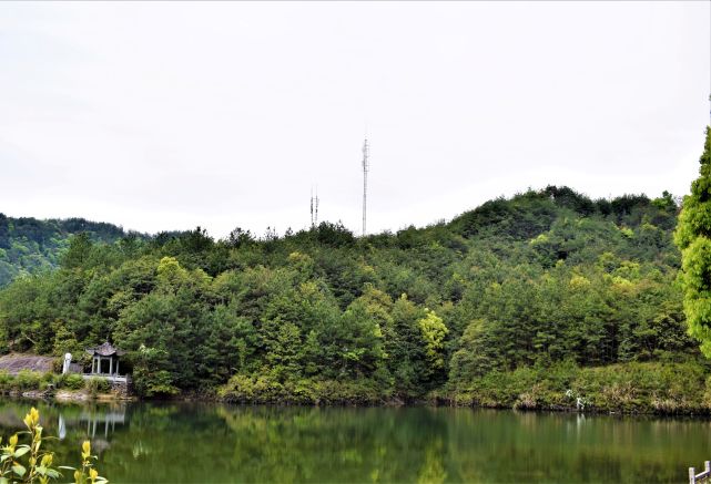 漫步永康飞龙山风景区,赏析春天的风和日丽