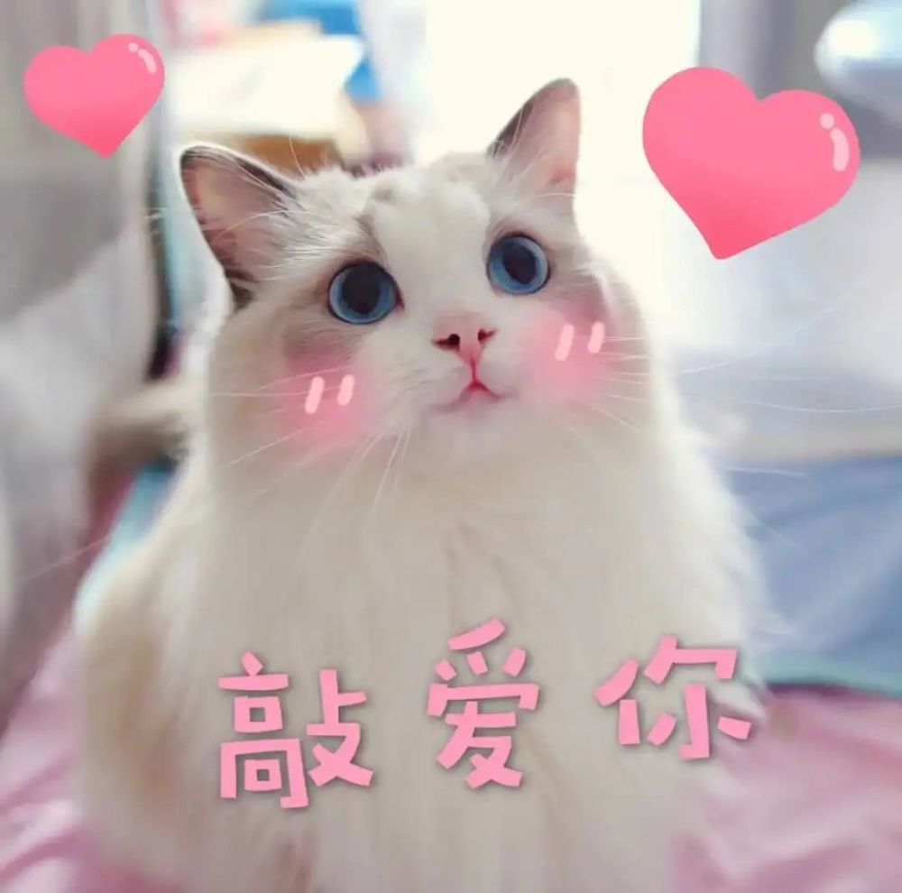 表情包过来让我亲一下