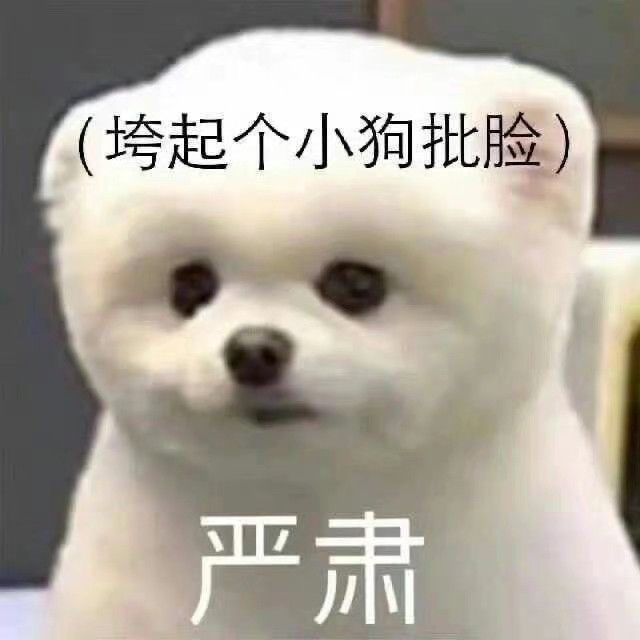 可爱狗狗表情包吖