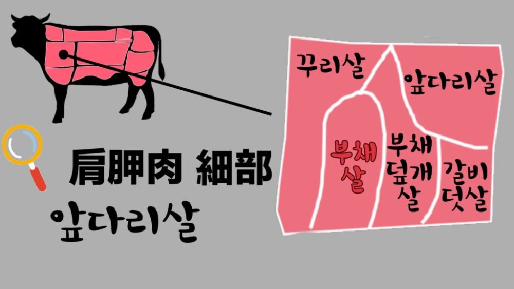 肩胛肉:扇子肉 