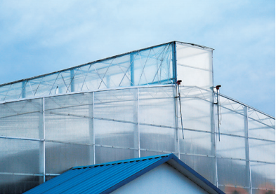 大跨度塑料大棚上的"气楼"通风窗,除了可用图1所示连栋温室采用的形式