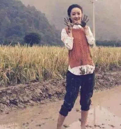 赵丽颖离婚,这一个原因就够了!