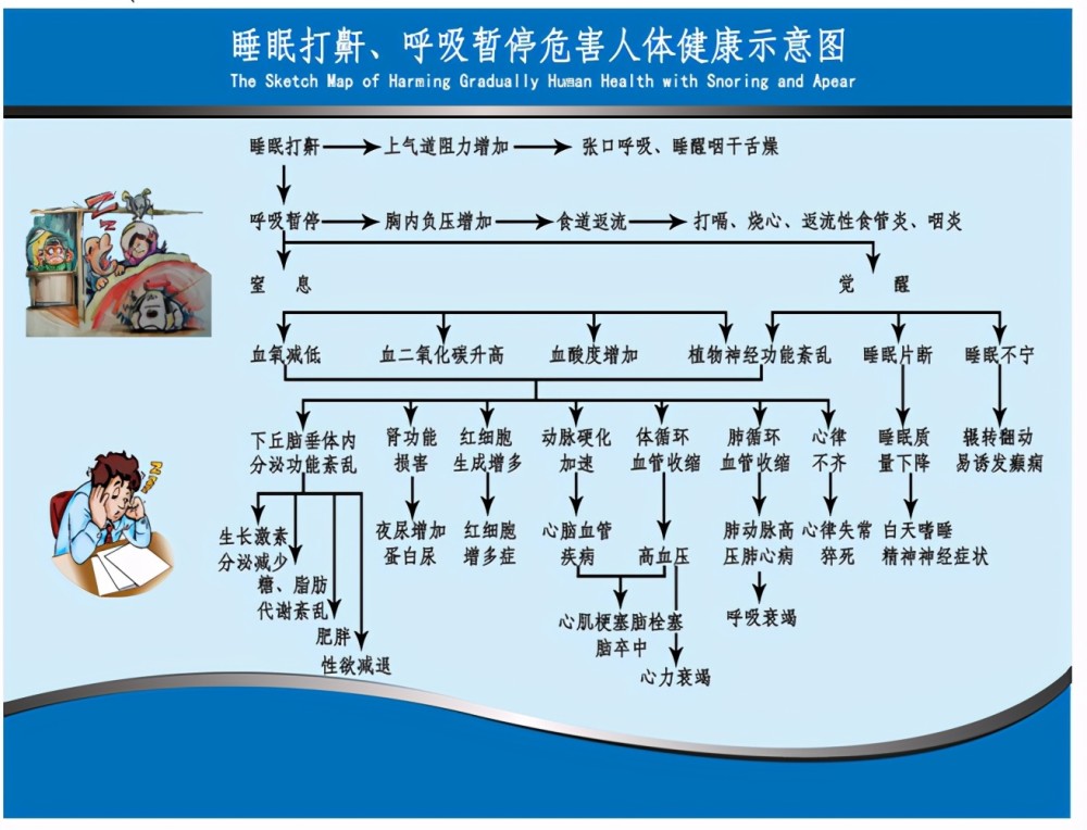 哪些人群容易患"睡眠呼吸暂停综合征"