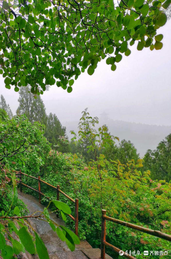 情报站雨中登山感受不一样的景色济南英雄山雨中风景更撩人