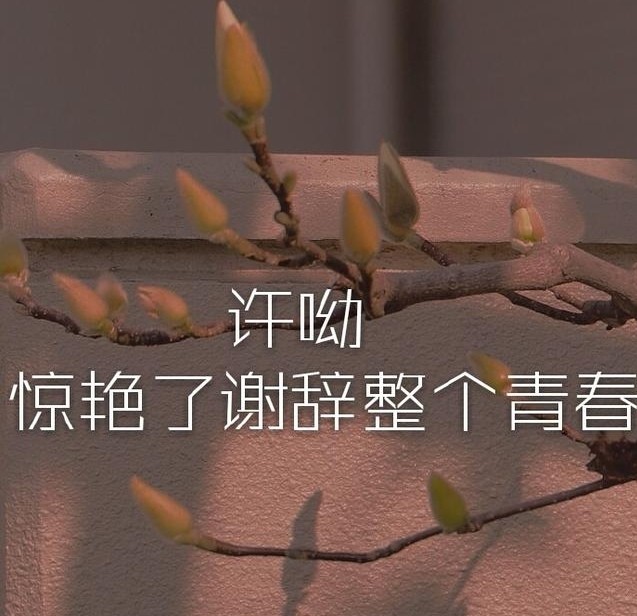 《她的小梨涡》经典语录