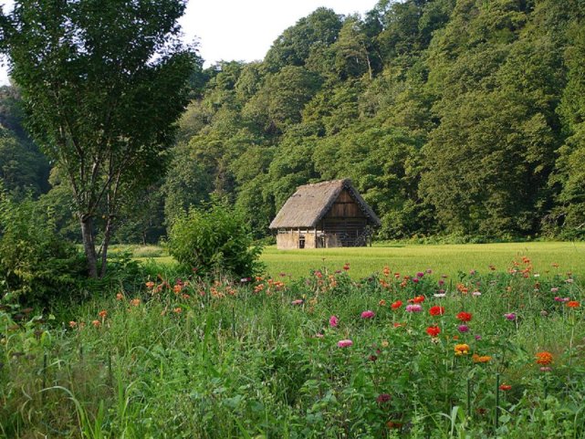 乡村自然风景