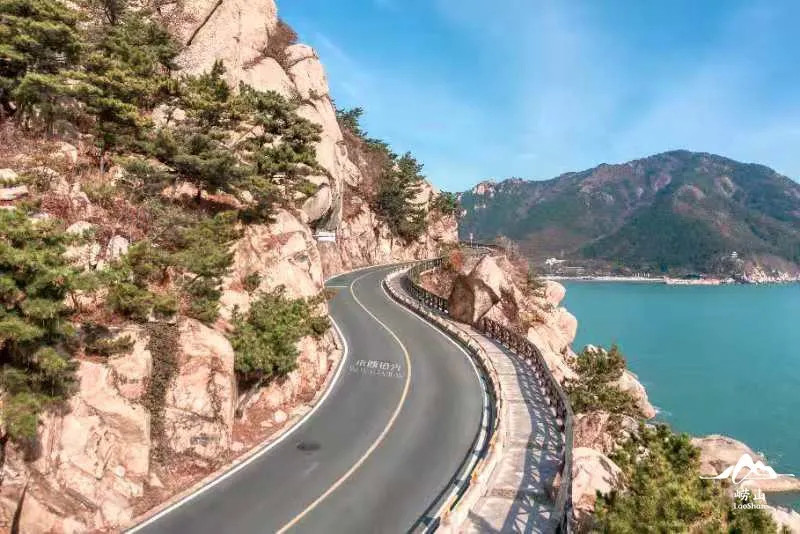 五一来崂山!赏春日山海盛景,在这里放肆"森"呼吸!