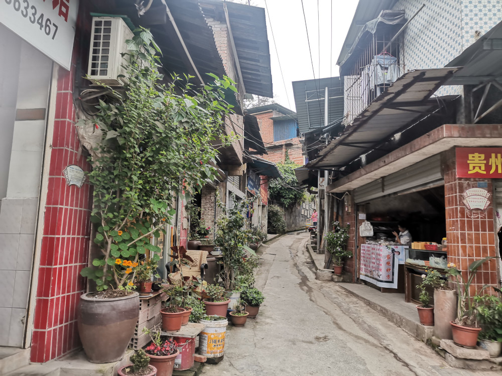 重庆北碚老街道古朴古香有点破败满街花草很是文艺