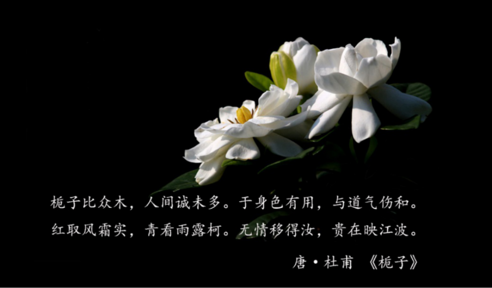 无尽诗美遽然现,诗不醉人人自醉,诗情画意两成趣.